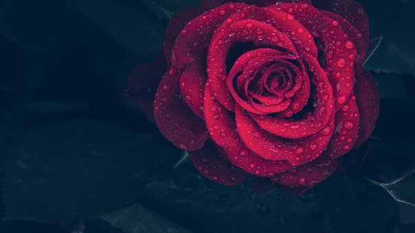 杜绝老公出轨的7大秘诀